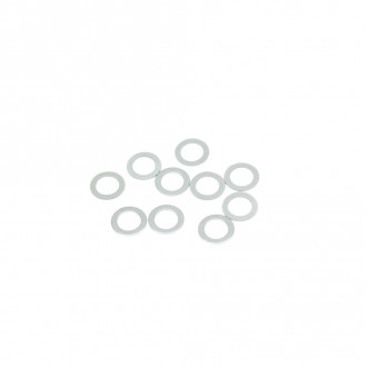 Washer 6x10x0.2mm (10) (SW101019)