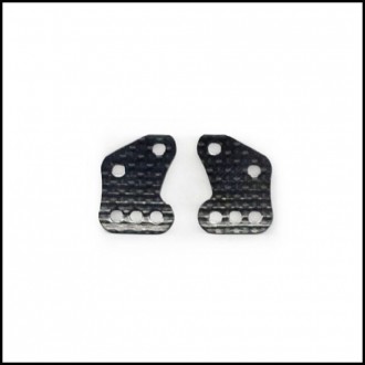 Carbon Rear Plates (2 pcs)